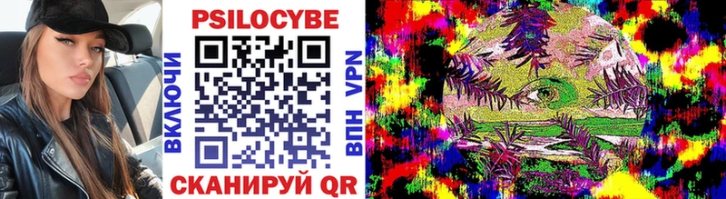 Галлюциногенные грибы Cubensis  Купить закладки  Полысаево 
